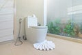 Luxury bathroom feature toilet bowl home, house ,building Royalty Free Stock Photo