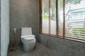 Luxury bathroom features , toilet bowl Royalty Free Stock Photo