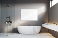 Luxury bathroom with gray walls and poster Royalty Free Stock Photo