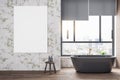 Luxury bathroom interior with blank poster on marble wall Royalty Free Stock Photo