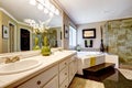 Luxury bathroom interior Royalty Free Stock Photo