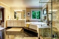 Luxury bathroom interior Royalty Free Stock Photo