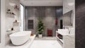 Bathroom Interior Design With Bathtub And Beautiful Quartz Countertop