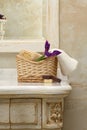 Luxury bathroom interior and furniture Royalty Free Stock Photo