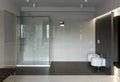 Free Stock Photo 6513 Luxury bathroom interior | freeimageslive