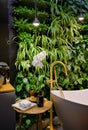 Luxury bathroom interior in spa with vertical garden, bath in modern beauty salon Royalty Free Stock Photo