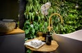 Luxury bathroom interior in spa with vertical garden, bath in modern beauty salon Royalty Free Stock Photo