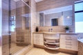 Luxury bathroom in modern home