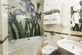 Luxury bathroom in modern hotel room Royalty Free Stock Photo