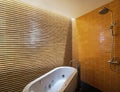 Luxury bathroom with skylight Royalty Free Stock Photo