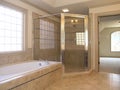 Luxury Bathroom Tub Shower Royalty Free Stock Photo