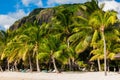 Luxury beach in Mauritius. Sandy beach, palms and blue sky