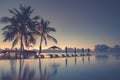 Luxury beach pool scene. Palm trees and infinity pool on Maldives beach Royalty Free Stock Photo