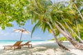 Luxury beach resort, beach loungers near the sea with white sand over sea Topical island background, summer vacation concept Royalty Free Stock Photo