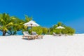 Sunbeds under tropical palm tree leaves on beach. Luxury couple destination, happy relax beach scenic, horizon, seascape blue sky Royalty Free Stock Photo