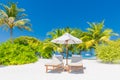 Sunbeds under tropical palm tree leaves on beach. Luxury couple destination, happy relax beach scenic, resort hotel Royalty Free Stock Photo