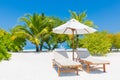 Sunbeds under tropical palm tree leaves on beach. Luxury couple destination, happy relax beach scenic, resort hotel Royalty Free Stock Photo