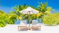 Sunbeds under tropical palm tree leaves on beach. Luxury couple destination, happy relax beach scenic, resort hotel Royalty Free Stock Photo