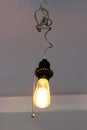 Luxury beautiful retro edison light cone glowing tungsten one lamp decor.