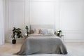 Luxury bed in spacious room with potted plants