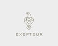 Luxury bird, eagle, hawk vector line logo design. Universal premium falcon symbol logotype.