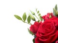 Luxury bouquet made of red and white roses on white background. Decoration for Valentines day. Royalty Free Stock Photo
