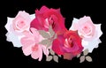 Luxury bouquet of roses and cosmos flowers isolated on black background in vector. Bunner, flyer, greeting or invitation card.