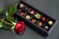 Luxury box of handmade chocolates with rose. Gift concep. Royalty Free Stock Photo