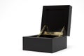 Luxury box Isolated On White Background, 3D render. 3D illustration Royalty Free Stock Photo