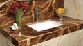 Luxury brown marble bathroom sink, flowers, fruit Royalty Free Stock Photo