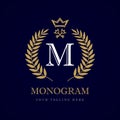 Luxury calligraphic letter M crown and key monogram logo Royalty Free Stock Photo