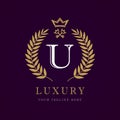 Luxury calligraphic letter U crown key monogram logo Royalty Free Stock Photo