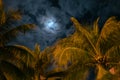 Luxury caribbean resort at night, dawn time moon in sky Royalty Free Stock Photo