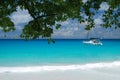 Luxury catamaran sailing near a tropical beach