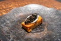 Luxury caviar toast with truffle cream sauce Royalty Free Stock Photo