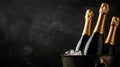 luxury and celebration with champagne bottles chilling in an ice bucket against a rich black backdrop Royalty Free Stock Photo