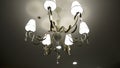 Luxury Chandelier. Close-up shot of modern lighting lamp with light bulbs on on a ceiling Royalty Free Stock Photo