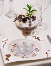 Luxury Chocolate Desert Royalty Free Stock Photo
