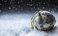 Luxury Christmas ball in the snow and snowy abstract scenes. Christmas ball on glitter background.