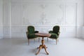 Luxury clean bright white interior with a old antique vintage green chairs over wall design bas-relief stucco mouldings