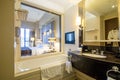 Luxury contemporary ensuite bathroom