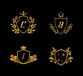 Luxury Crest Logo, Golden Crest Logo, Kingdom Logo