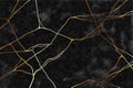 Luxury dark grey watercolor and gold foil texture background. Marble, stone imitation.Abstract hand drawn art. Royalty Free Stock Photo