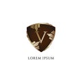 Luxury Decorative metallic gold shield sign illustration. Letter V alphabet logo design template. Initial abjad logo concept.