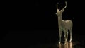 Luxury deer, golden deer, bronce deer Royalty Free Stock Photo