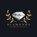 Luxury diamond logo design template