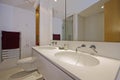 Luxury double bath room Royalty Free Stock Photo