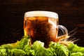 Luxury draft beer with hops. Royalty Free Stock Photo