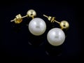 Luxury earrings for women