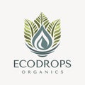 Luxury eco leaf water logo design template. Elegance nature plant drop logo. Royalty Free Stock Photo